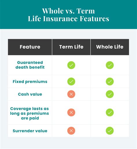 Types of Life Insurance: Which Path Suits You?