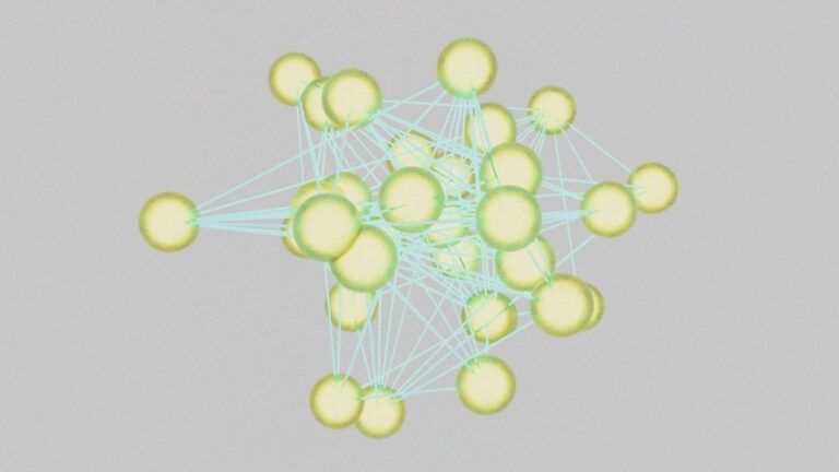 Navigating the Network: How to Choose the Best Insurance Provider for Your Needs