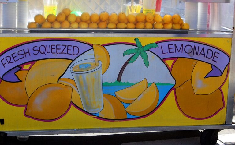 The Lemonade Sister Policy: How to Support Women-Owned Businesses