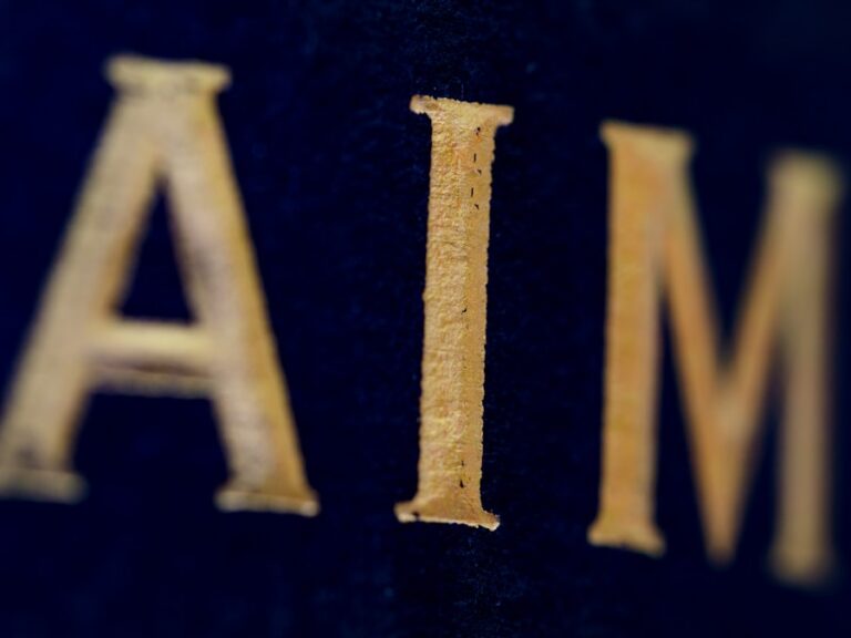 Is AmTrust Financial Services a Safe Bet? A Closer Look at Its Financial Stability
